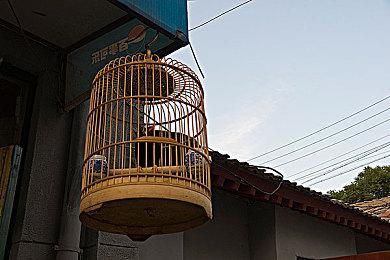 《阿凡达：潘多拉边境》已经开发了至少5年时间